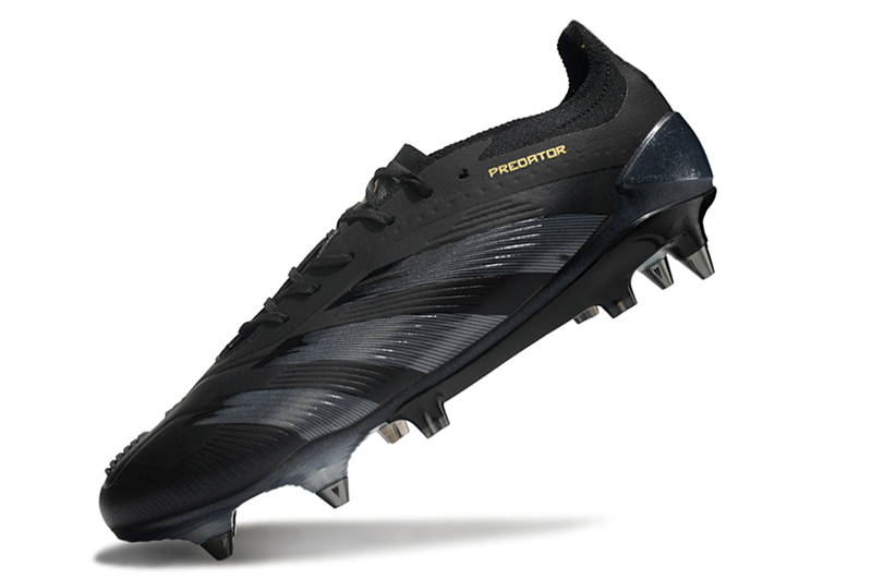 Preto APSG1