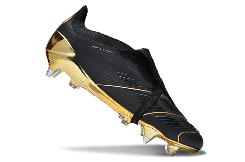 Preto e Dourado AP1SG
