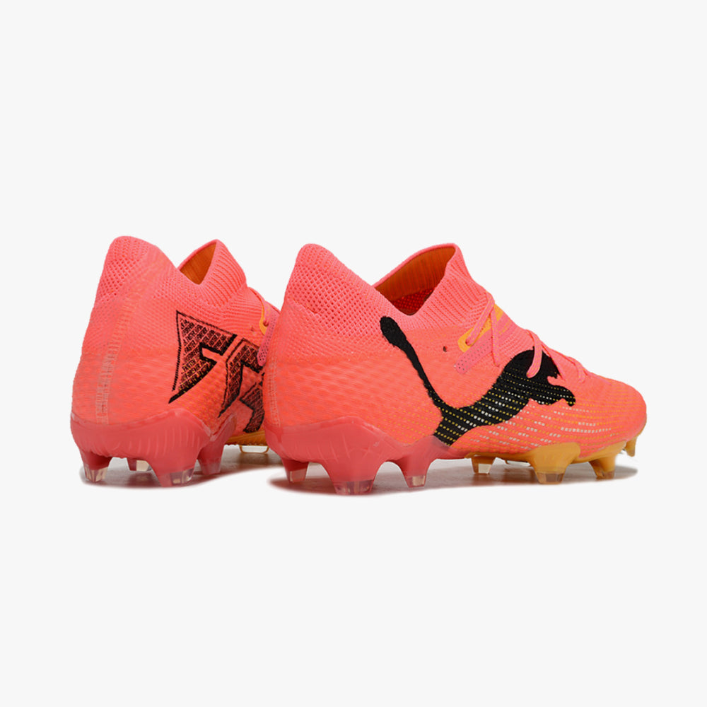 Rosa Mix PF24