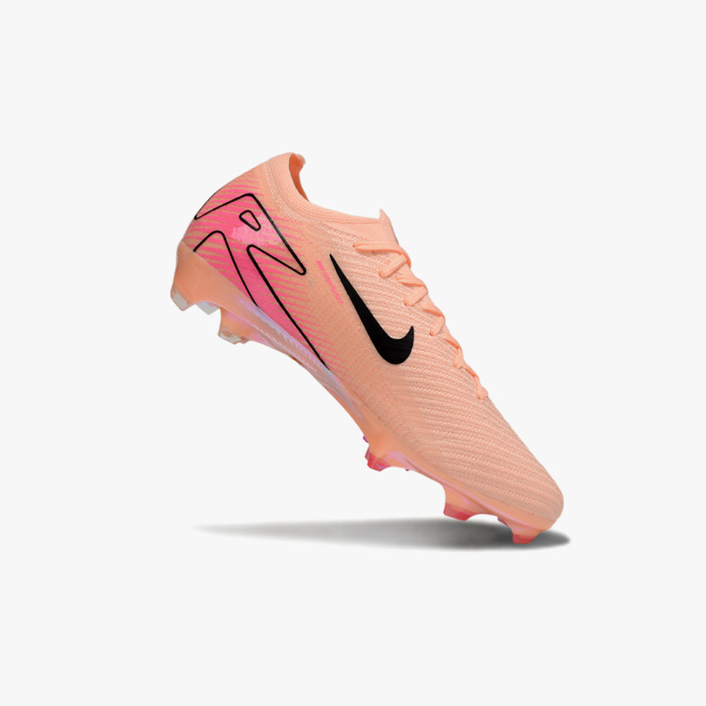 Rosa 1 JVE6+