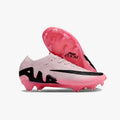 Rosa NMVP5