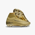 Dourado NZS5